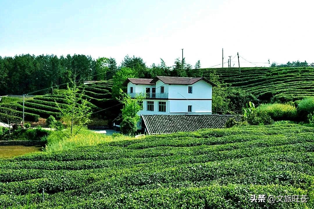 今年春节，留在旺苍过年吧！此心安处是吾乡