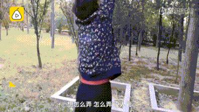 狂野式锻炼身体,健身健体百病消