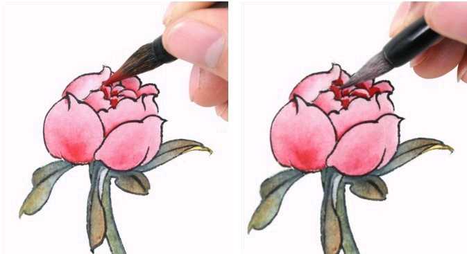 工笔画染染的正确方法,工笔画的分染步骤与技巧知识
