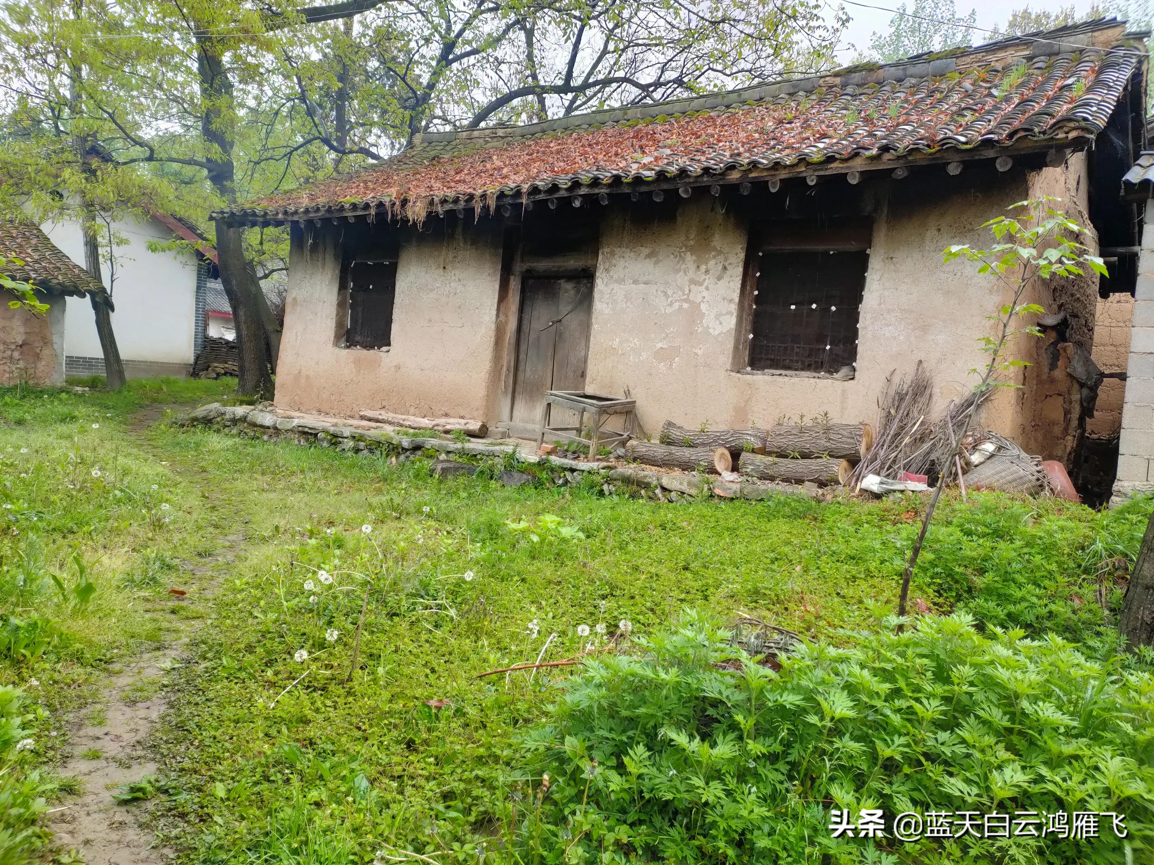 房子的记忆,记忆中房子