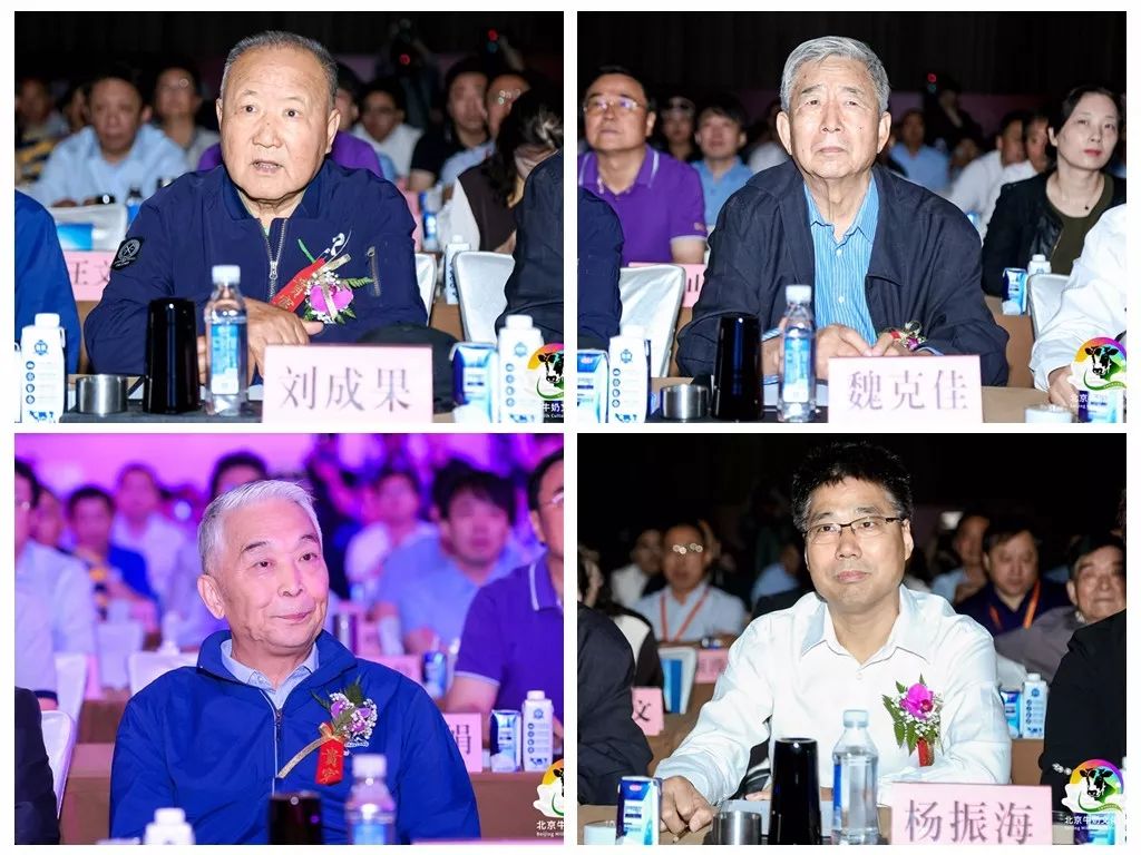 首届北京牛奶文化节,北京市牛奶文化节启动