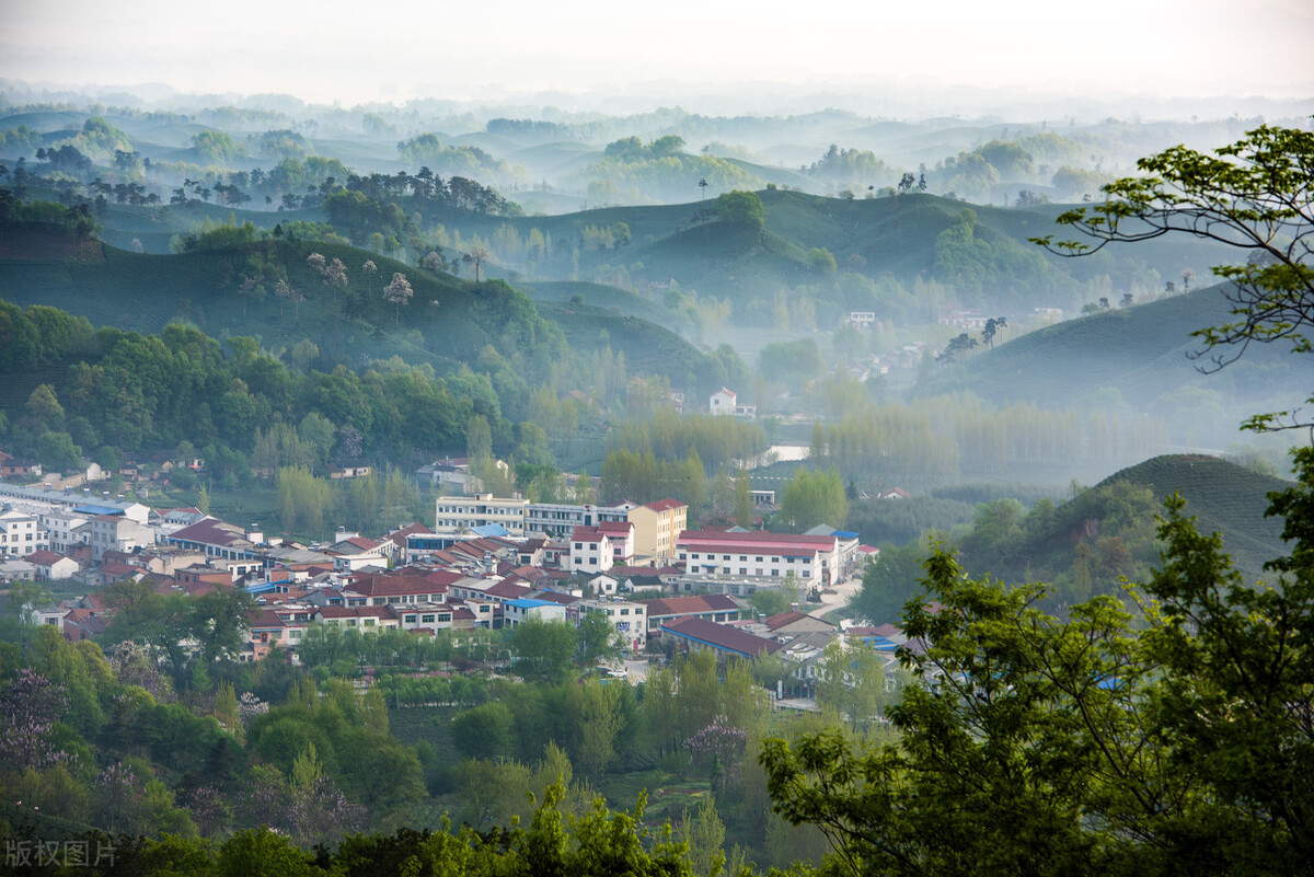 信阳毛尖之都怎么样,十大名茶信阳毛尖