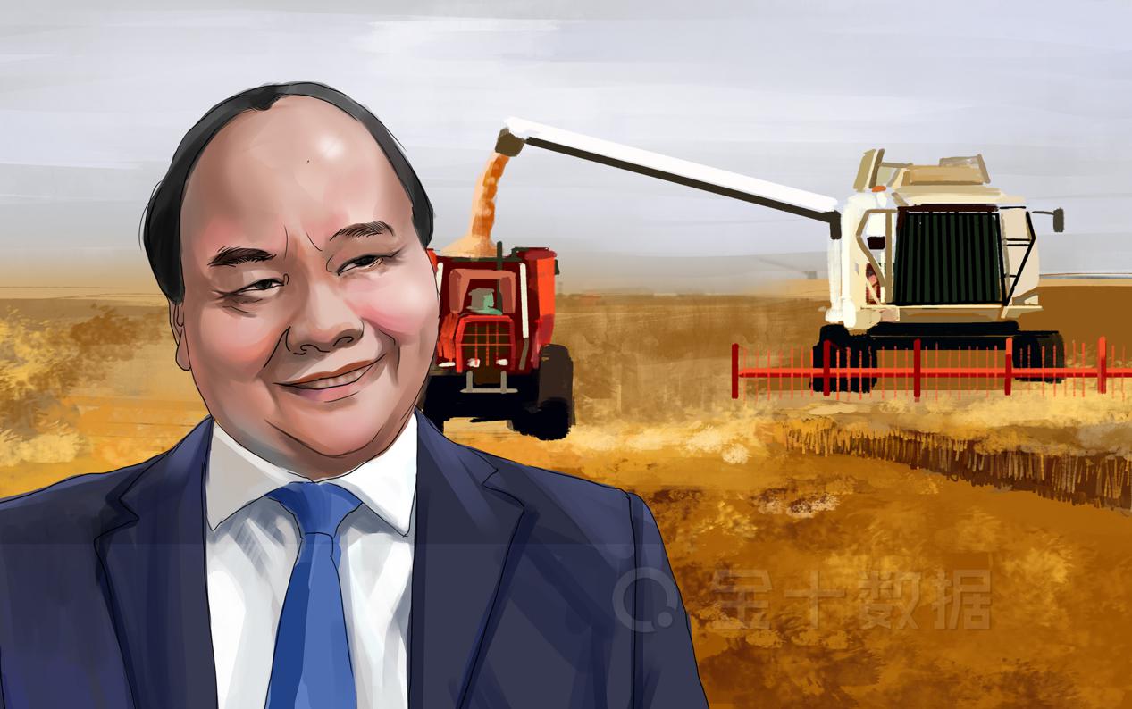 越南出口大米涨价,越南大米出口出现的问题