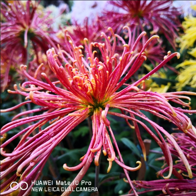 父亲节快到了又想起了我的爸爸,父亲节让我想起了自己的爸爸