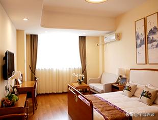 广州市天河区岭南养生谷养老院,广州颐寿养老院一览表