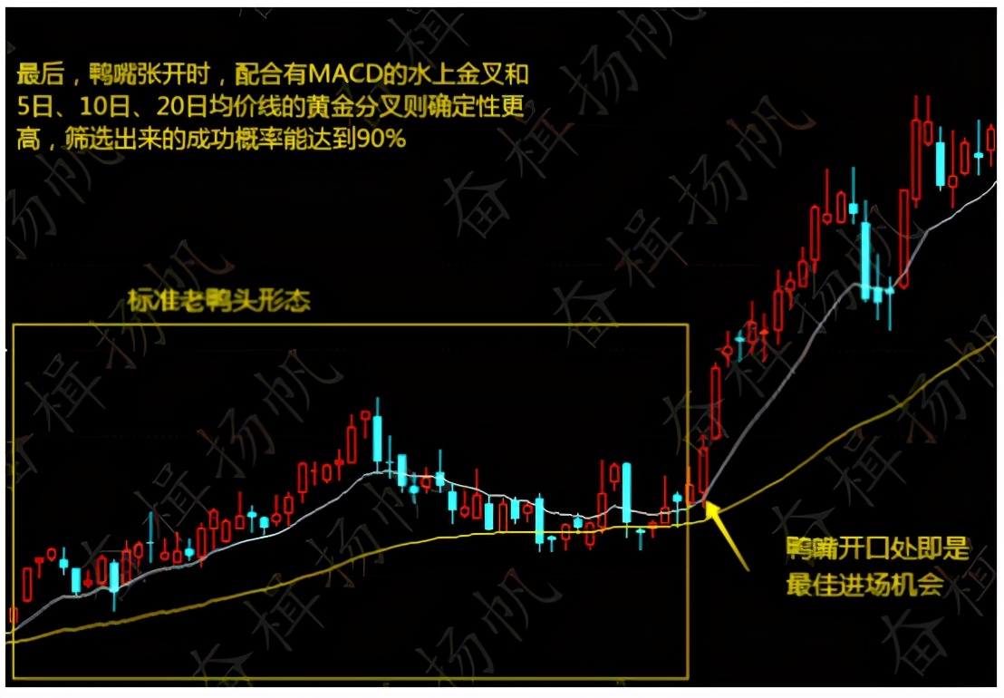 牛股二次启动前必备特征,如何快速找到老鸭头形态的股票