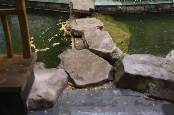 北大教授雷人言论,北大教授有哪些奇葩言论