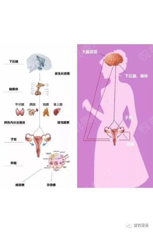 排月经≠排毒-写在世界读书日