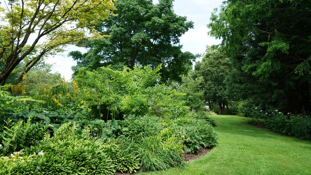 如何保护我们的眼睛小视频,保护眼睛我们该怎么做