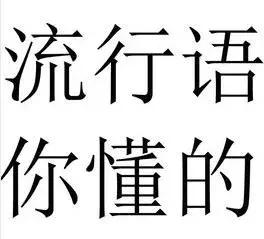 2018网络十句流行语,2019十大网络流行语你绝对用过
