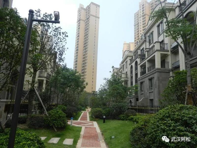 之前买的都笑开花了!光谷三环边77平两房!旁边有好学校!