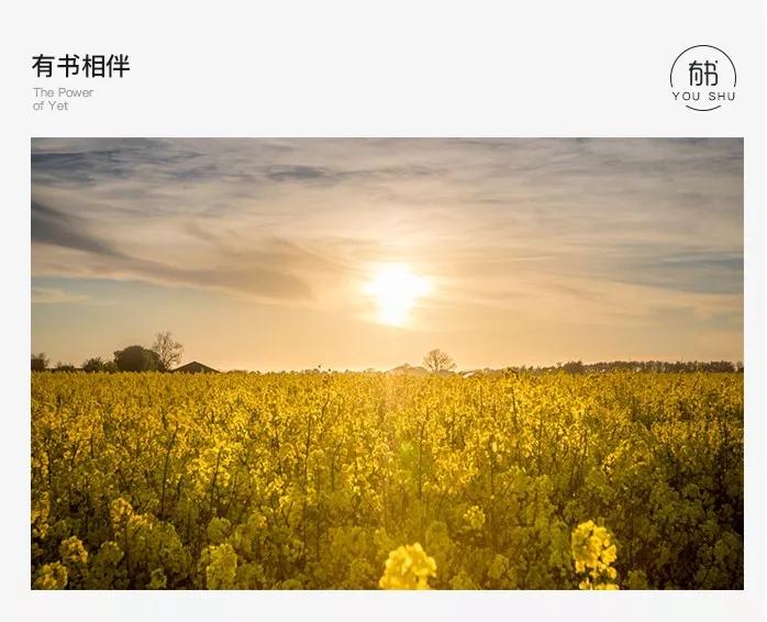 当年计划生育独生子女政策内容,计划生育是哪一届实施的