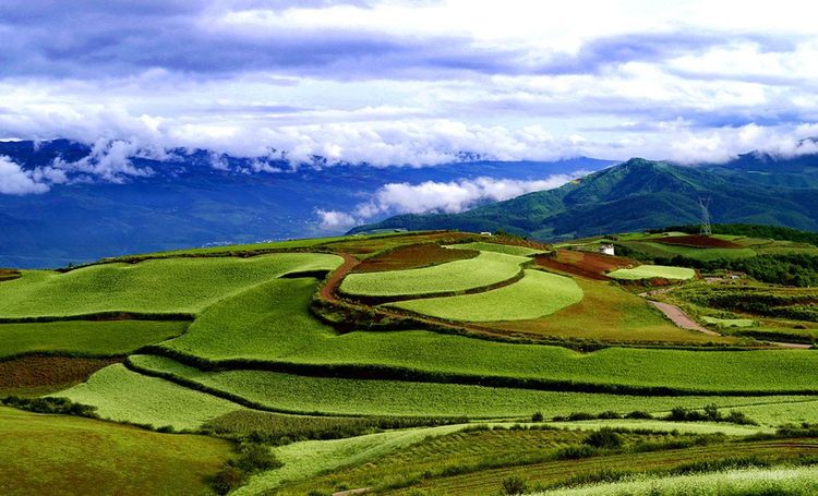 云南红土地景区秋天,这个秋天去云南玩