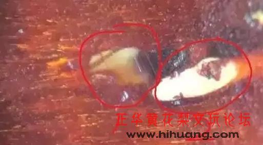 閲戞槦灏忓彾绱獉鏄惧井闀滀笅鐪熷亣,绉掓噦绾㈡湪绛夌骇