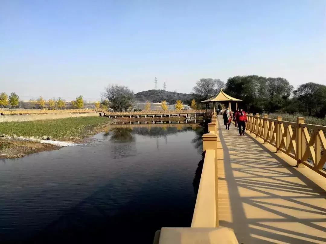 北京小众湿地公园免费,北京周边湿地公园