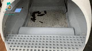 有陪智能猫砂盆真实测评,半封闭全自动猫砂盆测评