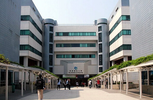 港大语言学本科专业如何,港大应用语言学就读体验