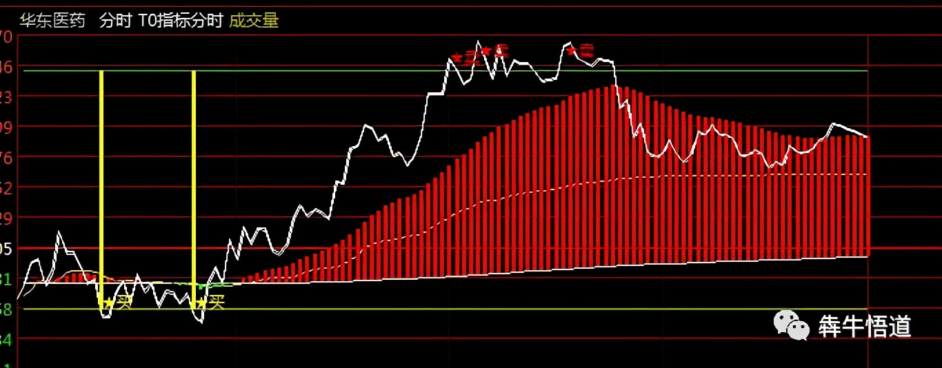 t0战法从入门到精通视频,股票t+0操作演示
