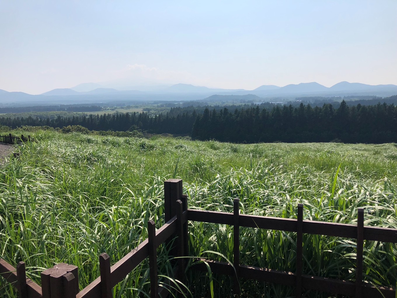 不会韩语去济州岛怎么自由行,济州岛两天旅行攻略