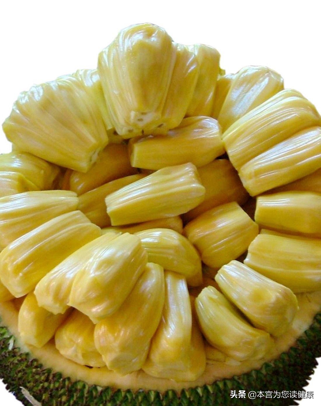 超级巨无霸菠萝蜜,菠萝蜜是巨无霸吗