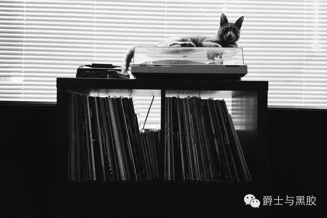 黑胶唱片淘汰了吗,黑胶唱片每次都是重新开始吗