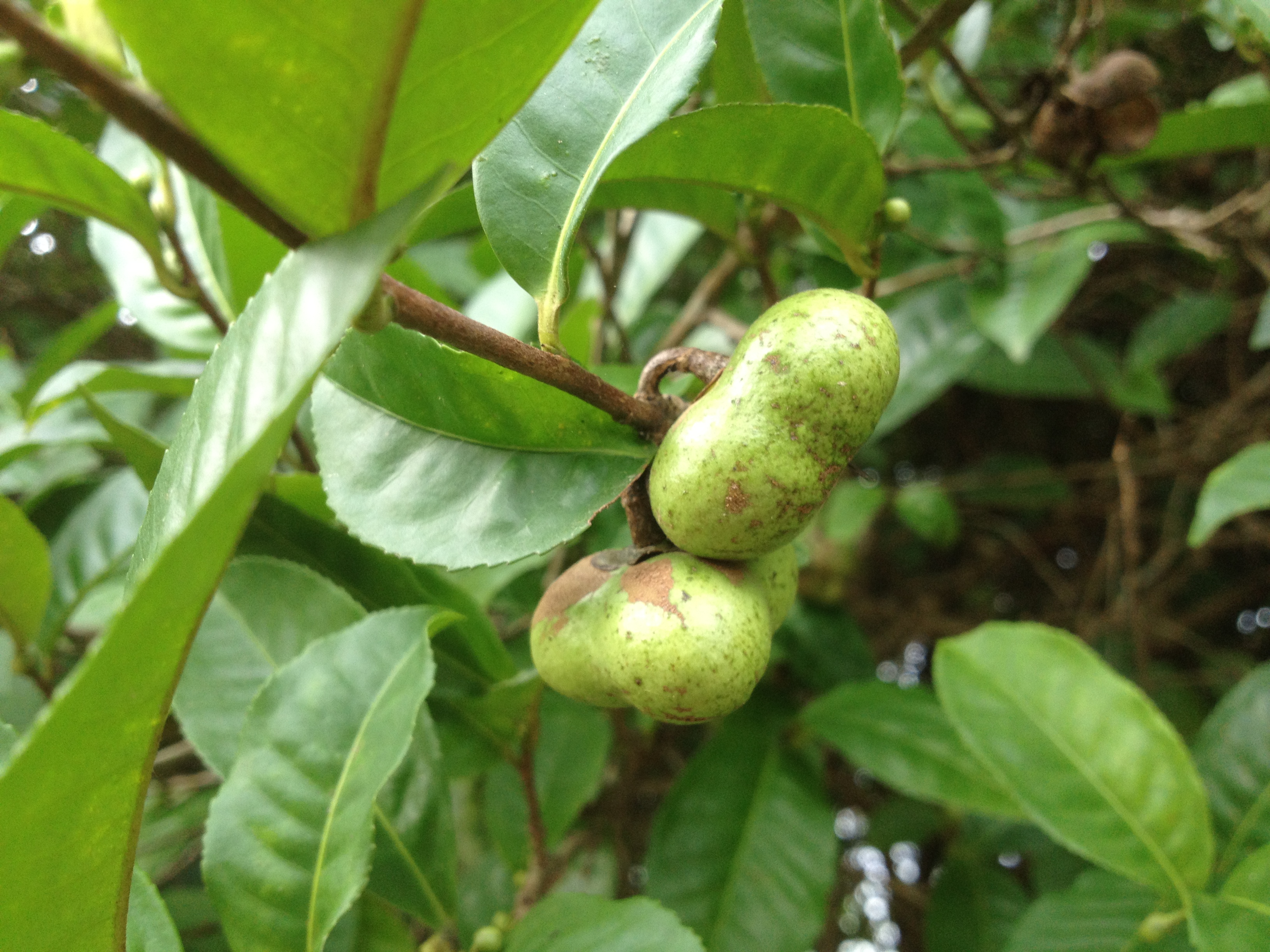 清远英德三日游攻略,英德三天两夜旅游攻略
