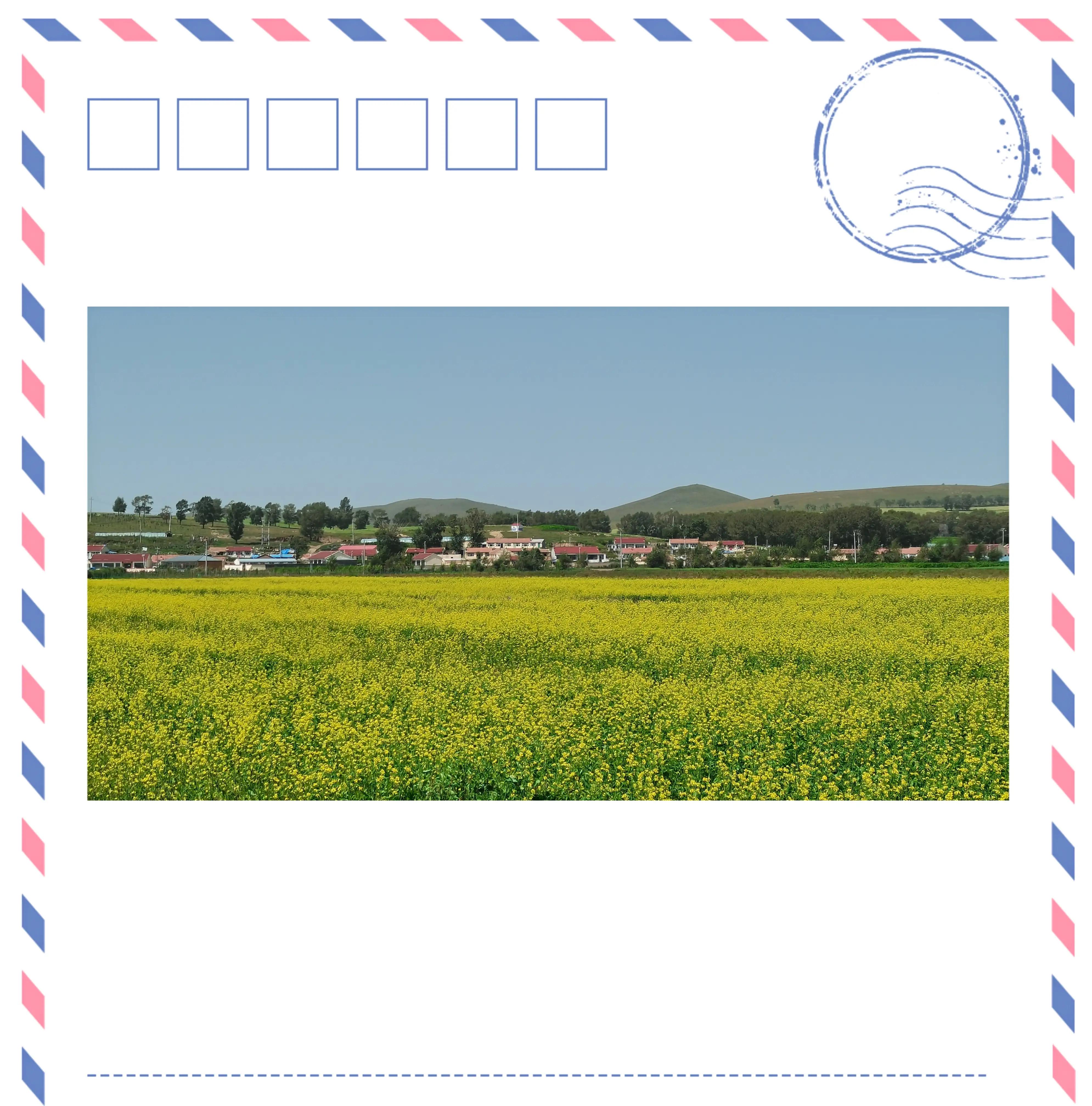 草原天路精彩视频,草原天路