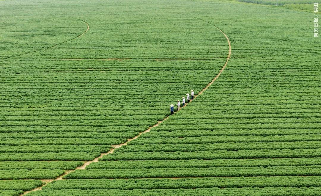 驻镇帮镇扶村突出五大亮点,驻镇帮镇扶村宗旨是什么