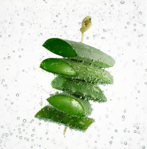 耐活好养的盆栽植物芦荟,芦荟全身都是宝