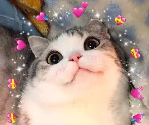 为保同性双亲权利，法国想把“父母”称谓改为“家长1家长2”