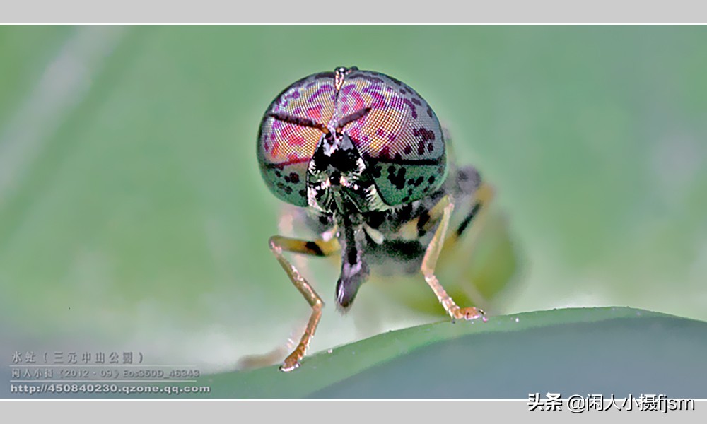 摄影三要素曝光对焦基础知识,广角的拍摄技巧及使用方法