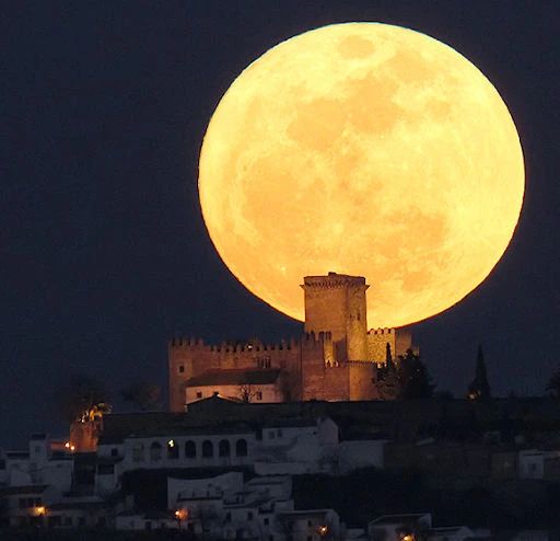 盘点那些巨大到让人害怕的雕像,那些被藏在森林里的巨大雕像