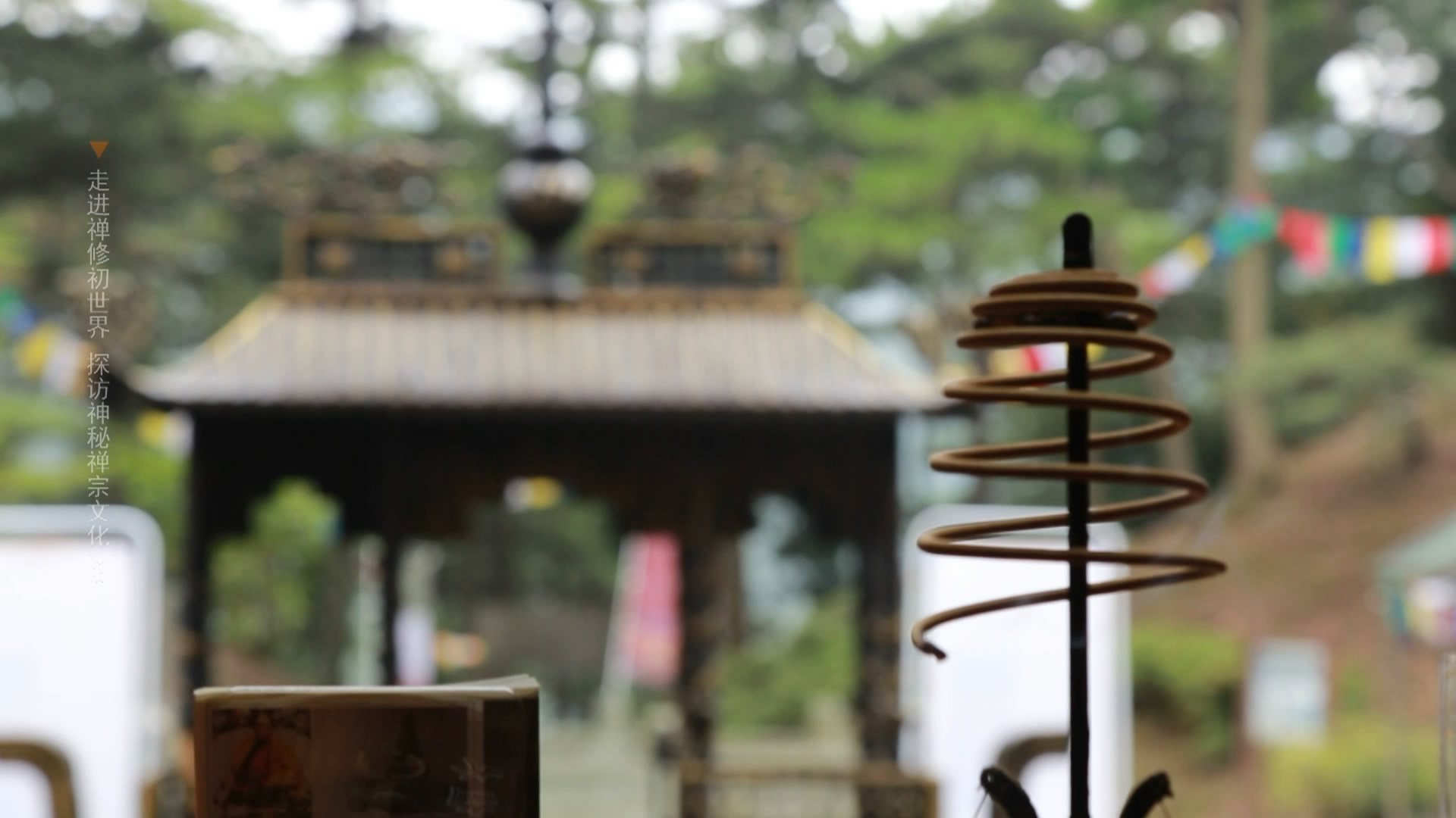 庐山禅修视频,庐山佛教发展史