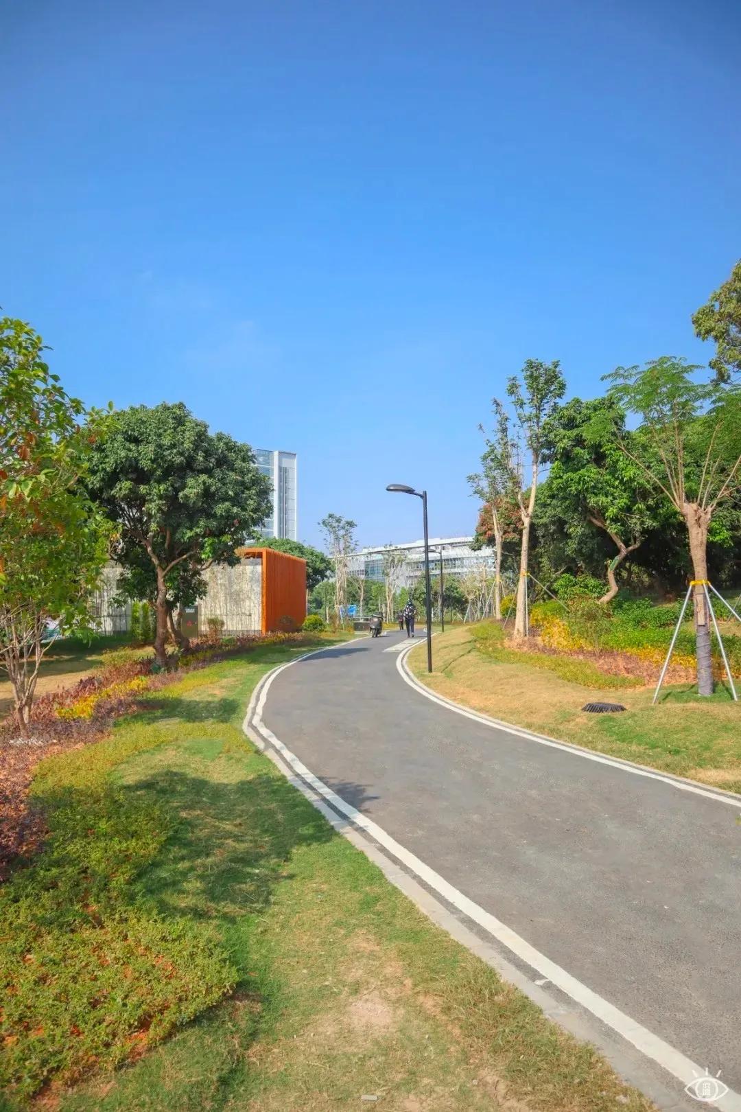 深圳免费景点好玩排名,深圳这些新公园免费玩