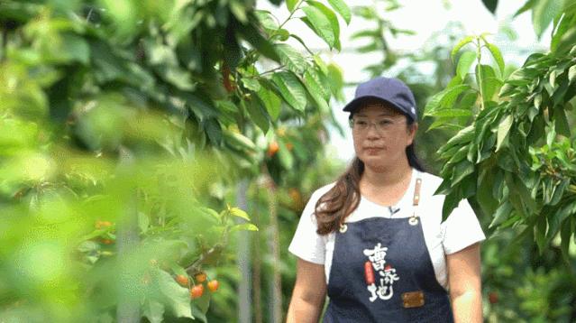 大连特产有哪些最便宜,大连的特产都有哪些