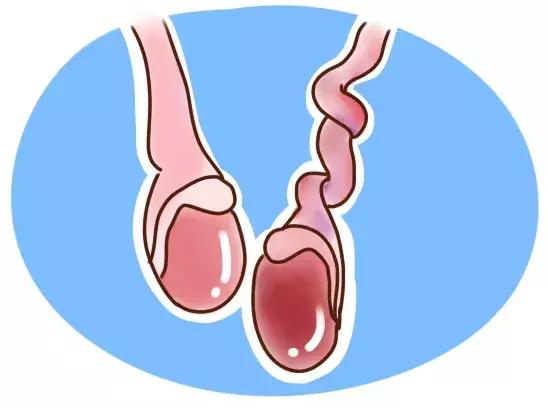 今天来讲讲男宝蛋蛋可能遭遇的那些事