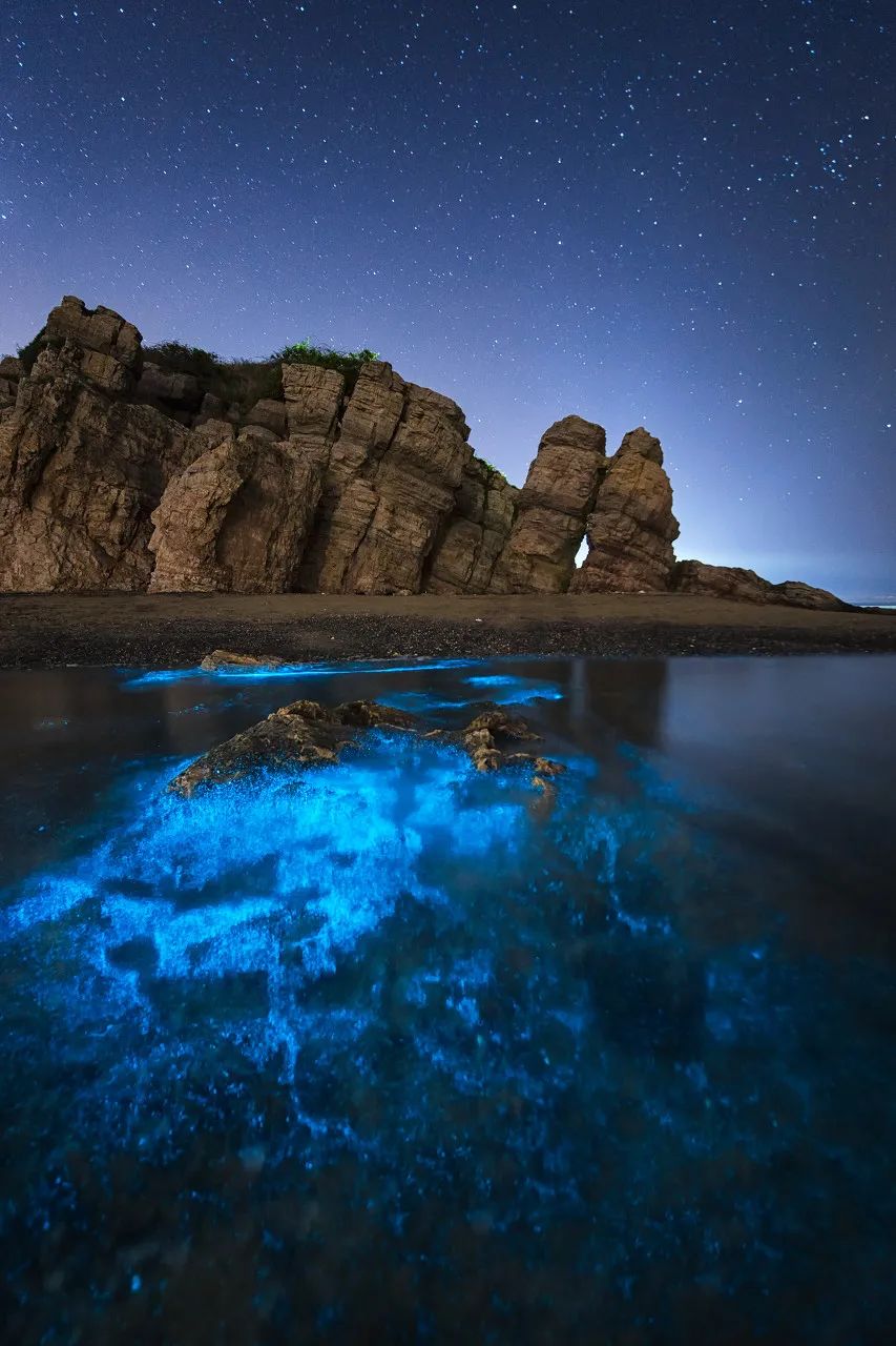 去大连海边玩一趟要多少钱,去海滨城玩有什么攻略