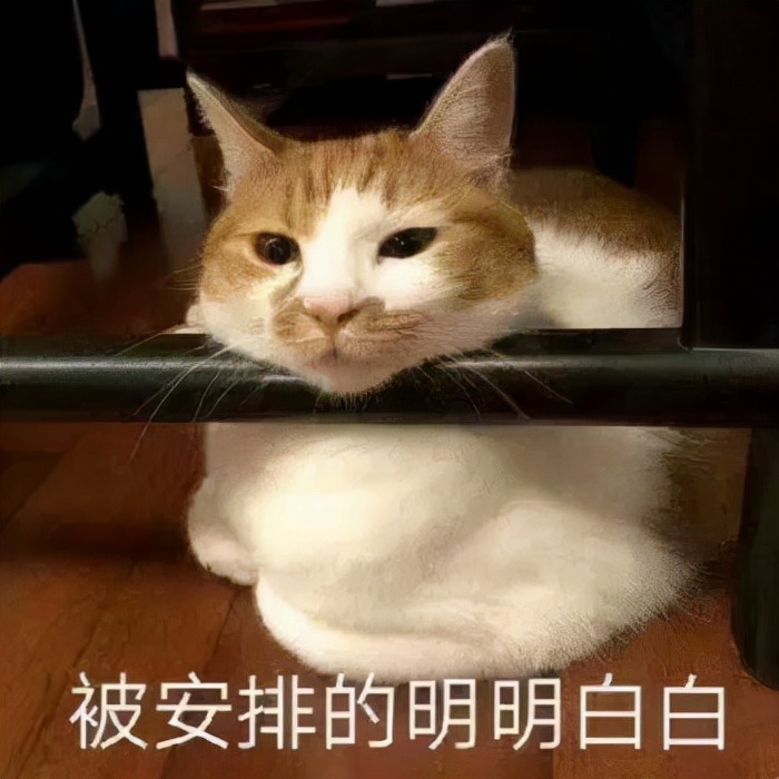 星巴克圣诞杯子,星巴克杯子圣诞