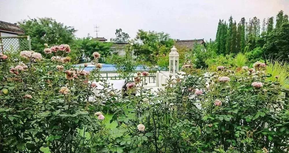 成都哪些值得去的农家乐,春季成都十大必去农家乐