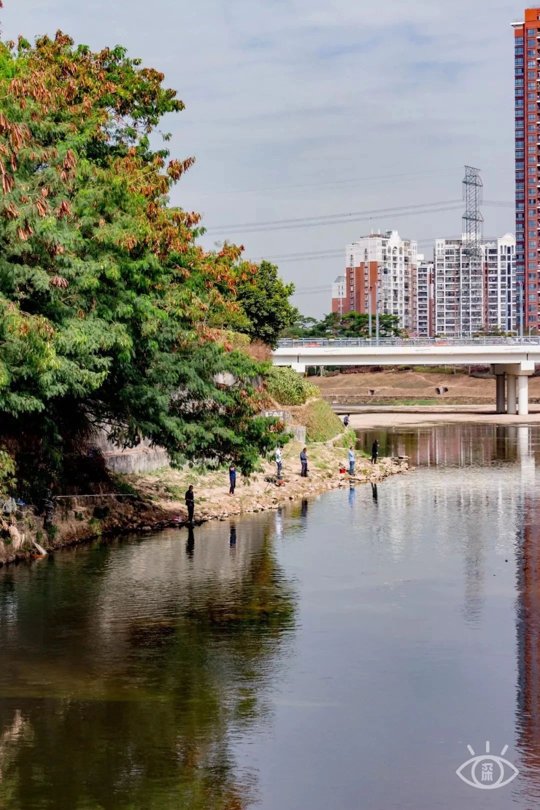 深圳周末浪漫好去处,深圳浪漫约会地点十个景点