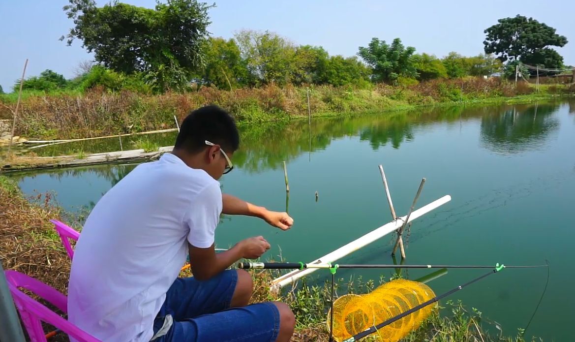 太阳鱼现身四川，钓友不重视还想用锅铲解决，罗非的故事又忘了？