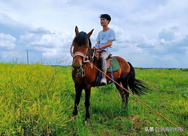 坝上草原拍照打卡,旅游打卡坝上草原