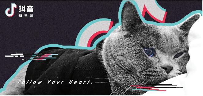 抖音带货新手月入15w实战方法,抖音带货达人图文如何爆单