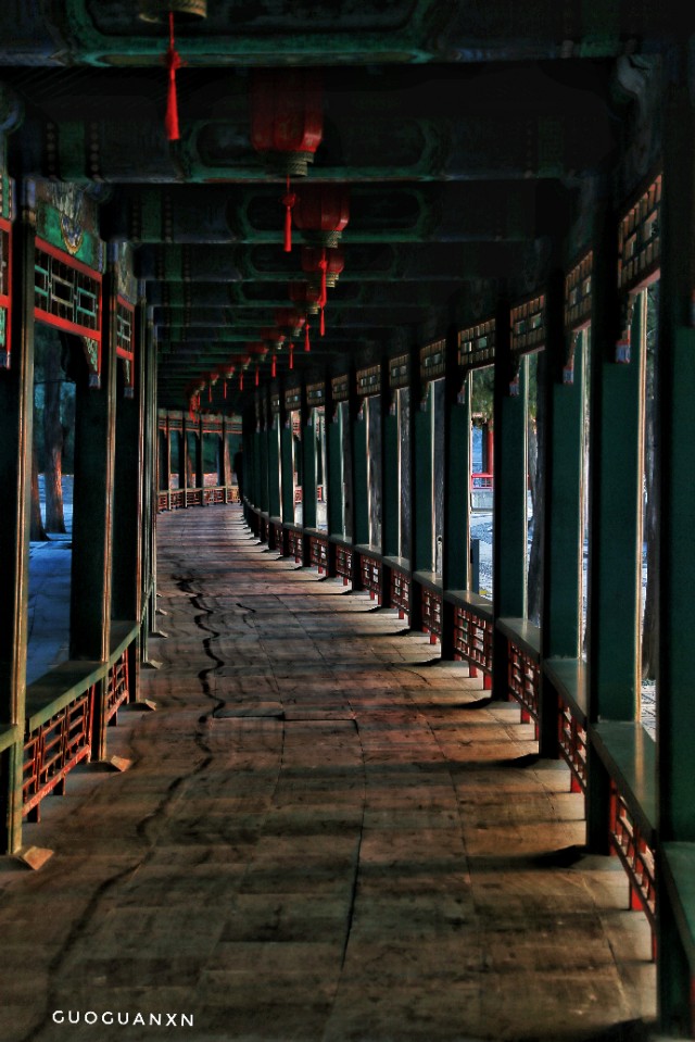 《晨辉情未了，光影长廊再写意》