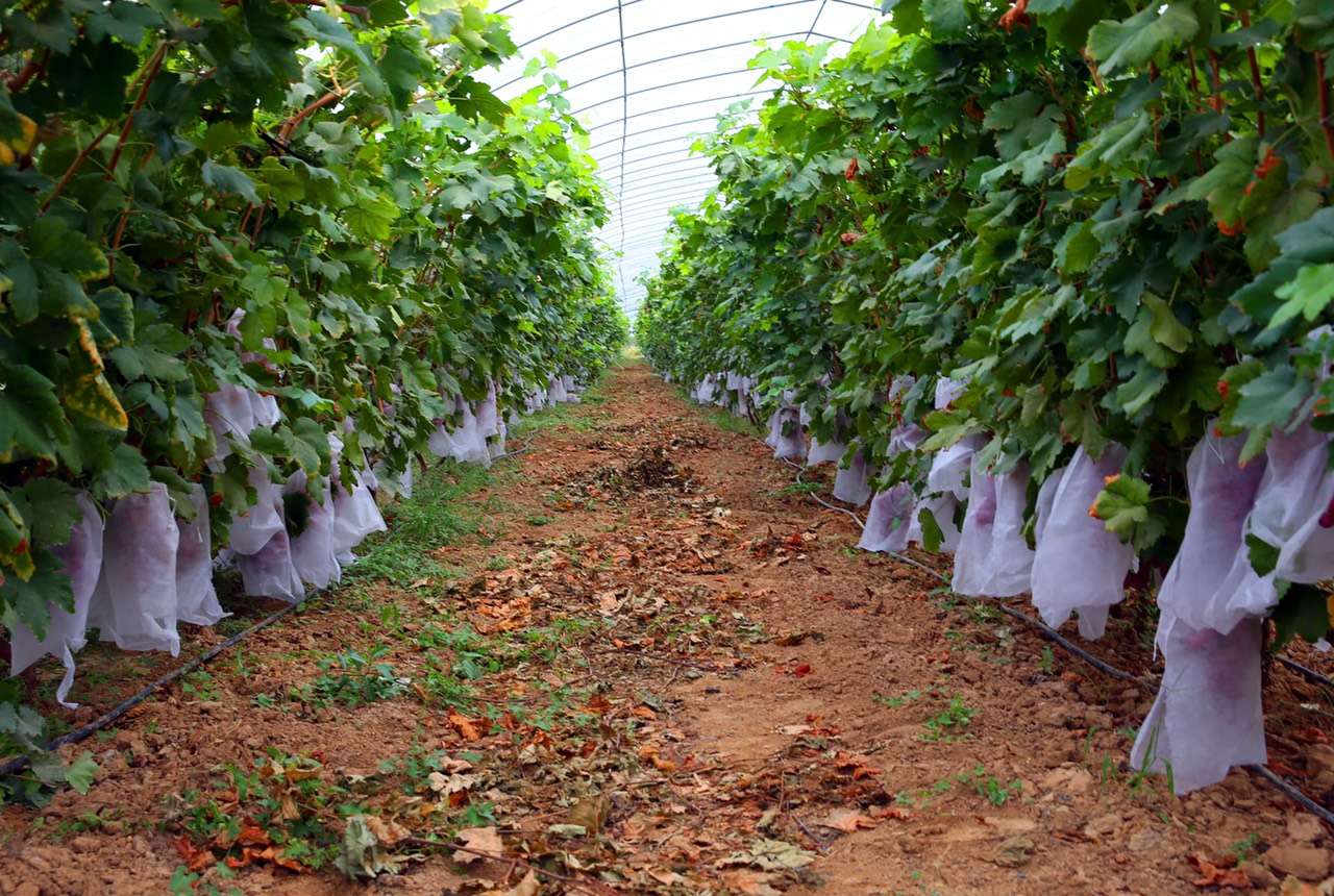 渭南市助力乡村振兴,助力乡村振兴留住美好乡愁