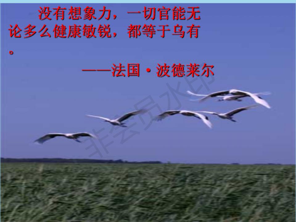 七年级发挥联想和想象课文,七年级上册语文联想与想象的作文