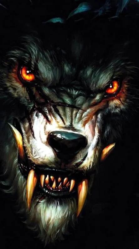 壁纸猛兽专用,壁纸猛兽派对