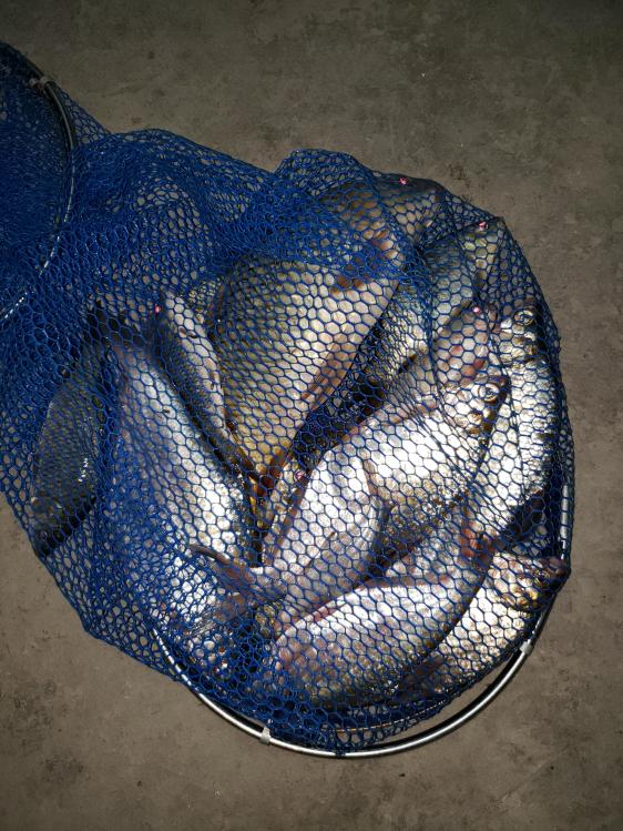 金迦潘钓杆,金迦潘求败渔具好用吗