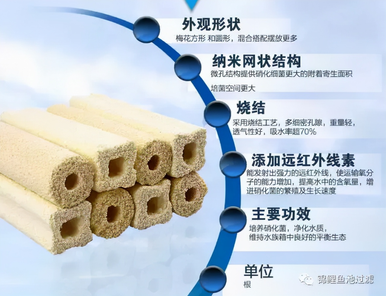 养锦鲤用过滤桶过滤系统,锦鲤鱼池沼泽过滤与生物过滤