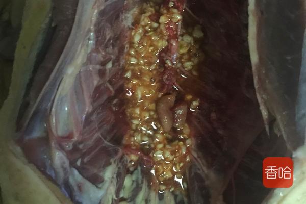 烤鸭做法不用烤箱,不用烤箱烤鸭做法全过程